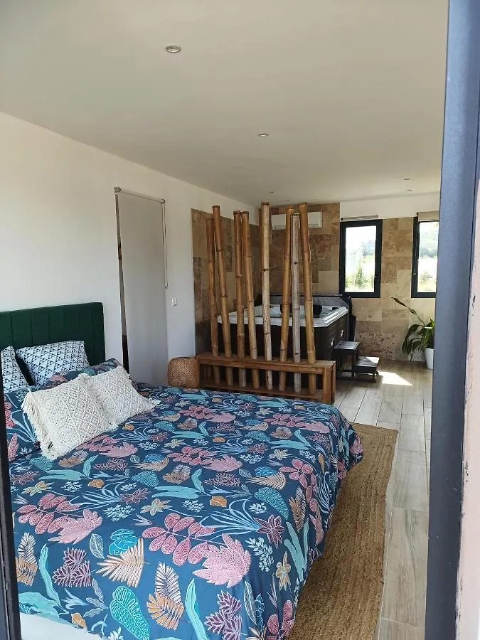Le Pavillon Des Pivoines Bed & Breakfast Hyeres